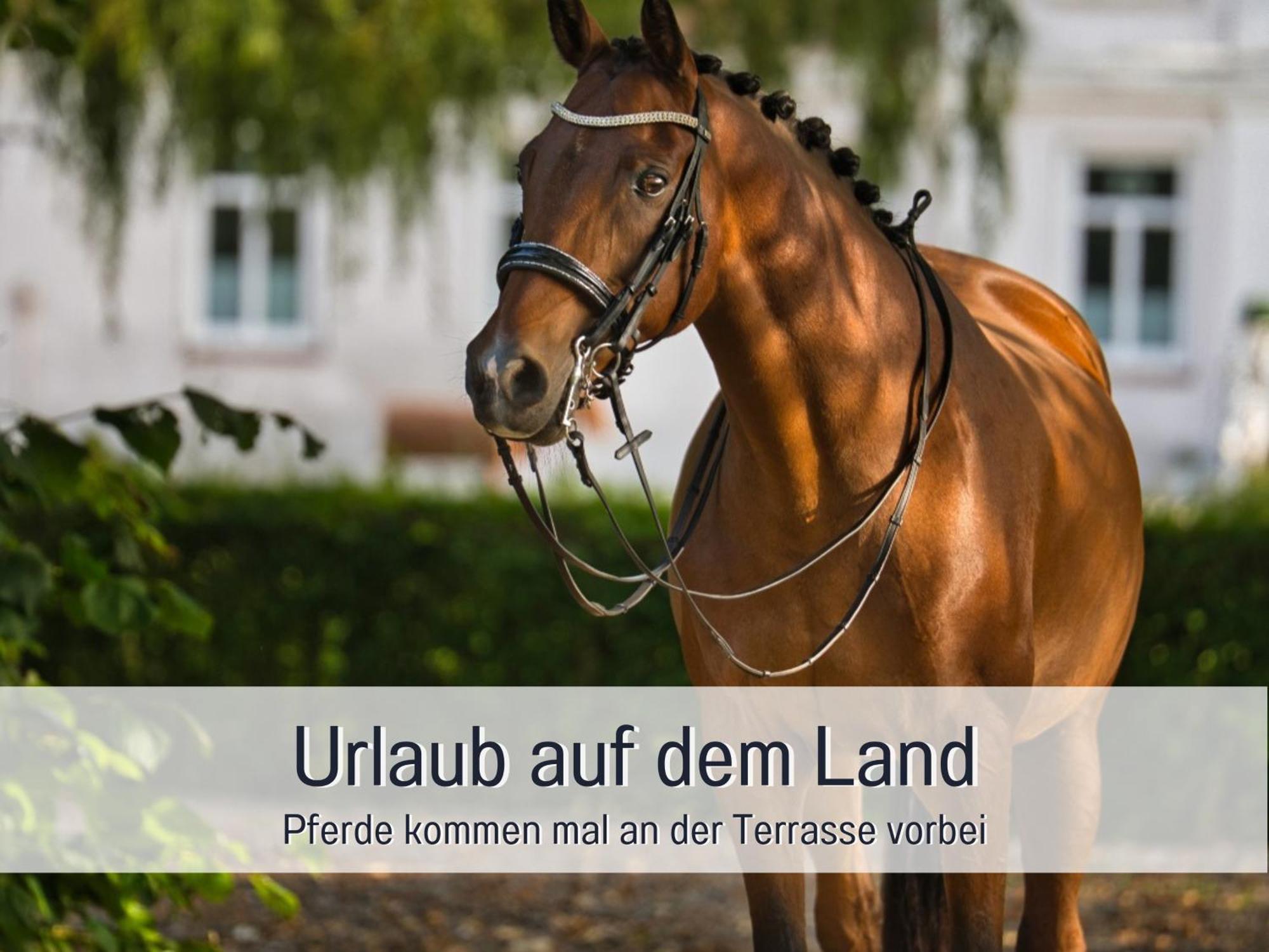 Ramoshansenhof Fewo Foerdebrise Mit Sauna Steinberg  Esterno foto